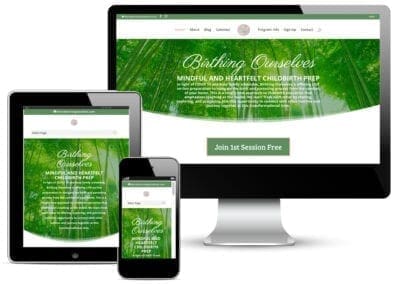 Birthing Ourselves Website